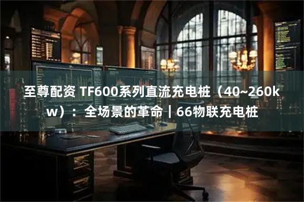 至尊配资 TF600系列直流充电桩（40~260kw）：全场景的革命｜66物联充电桩