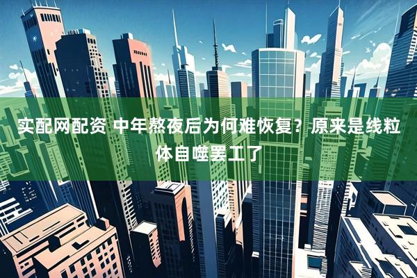 实配网配资 中年熬夜后为何难恢复？原来是线粒体自噬罢工了