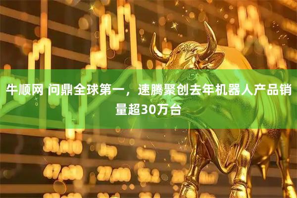 牛顺网 问鼎全球第一，速腾聚创去年机器人产品销量超30万台