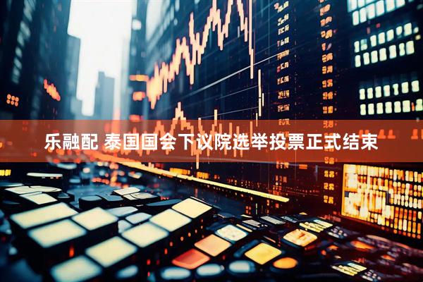 乐融配 泰国国会下议院选举投票正式结束