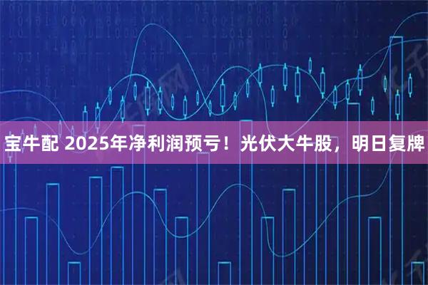 宝牛配 2025年净利润预亏！光伏大牛股，明日复牌