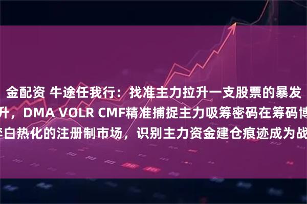 金配资 牛途任我行：找准主力拉升一支股票的暴发密码，三维共振擒主升，DMA VOLR CMF精准捕捉主力吸筹密码在筹码博弈白热化的注册制市场，识别主力资金建仓痕迹成为战胜市场的关键。通过对2023年63